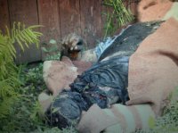 Сводка событий от Игоря Стрелкова и ополченцев 04.07.2014