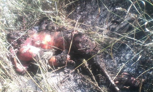 Нарастание катастрофы войск хунты 16-07-2014