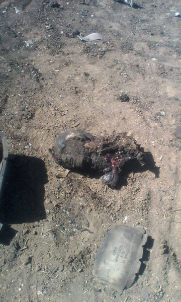 Нарастание катастрофы войск хунты 16-07-2014