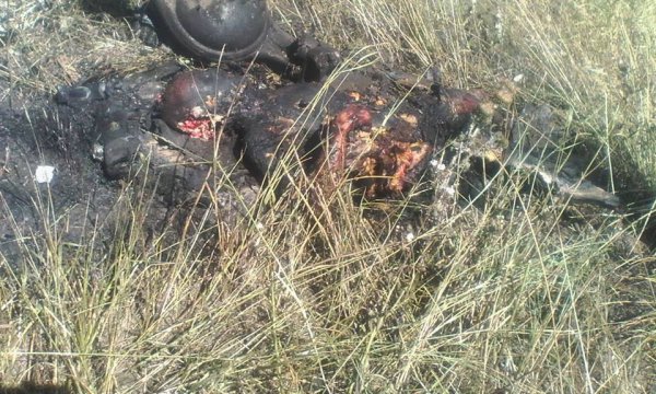 Нарастание катастрофы войск хунты 16-07-2014