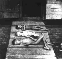 Искусственный голод, как инструмент геноцида. К годовщине разгрома Тамбовского восстания.