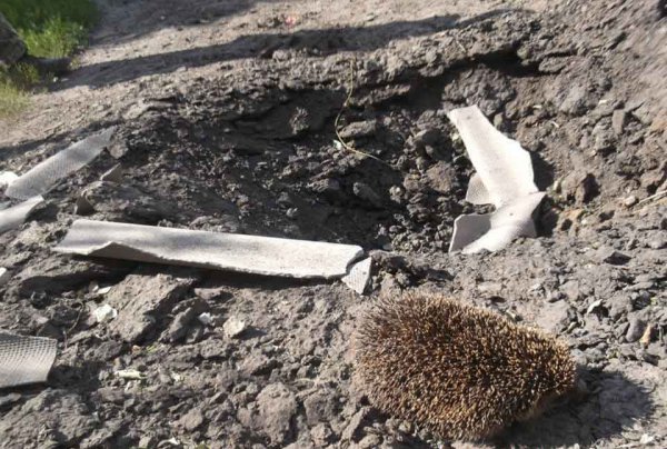 Донбасс не станет на колени перед карателями!! ФОТОГАЛЕРЕЯ!