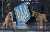 Небольшая подборка видео