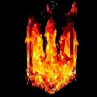 Тьма сгущается 