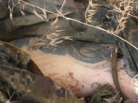 Фейк от Борислава Березы