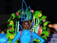 Майдан головного мозга