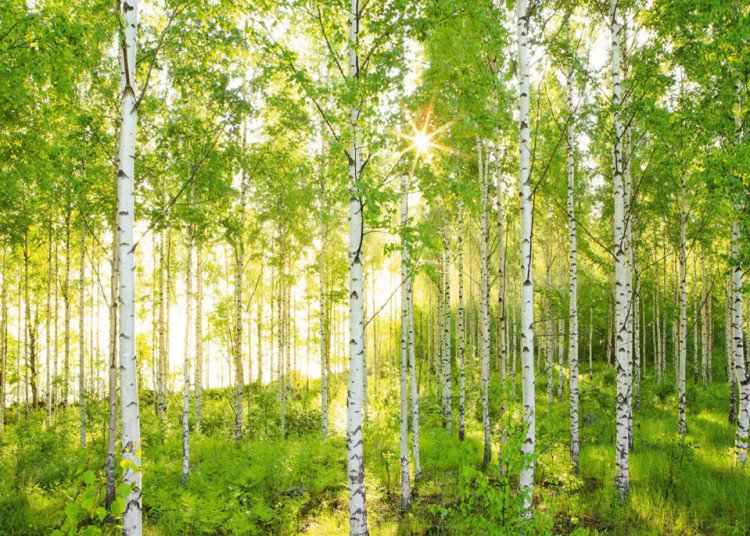 О Родине. Просто красиво, мудро и всё О Родине. Просто красиво, мудро и всё