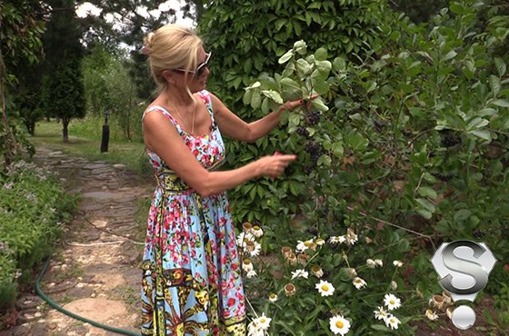 ВИКА ЦЫГАНОВА: «Мы 15 лет ждали санкций на продукты из Запада и ЕС» ВИКА ЦЫГАНОВА: «Мы 15 лет ждали санкций на продукты из Запада и ЕС»