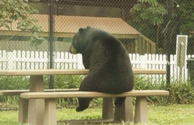 «Беда с этими русскими, все у них не как у людей» «Беда с этими русскими, все у них не как у людей»