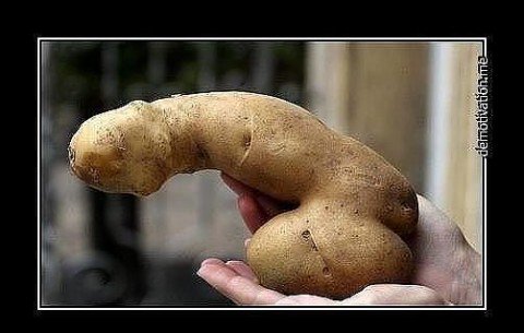 Меркель послали в сад.... Меркель послали в сад....