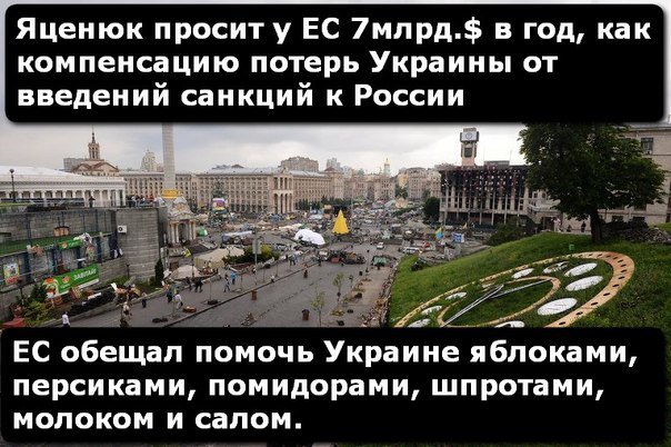 Украинец и кошка Украинец и кошка