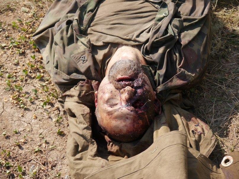 Разгром (первые фотографии трофеев) Разгром (первые фотографии трофеев)