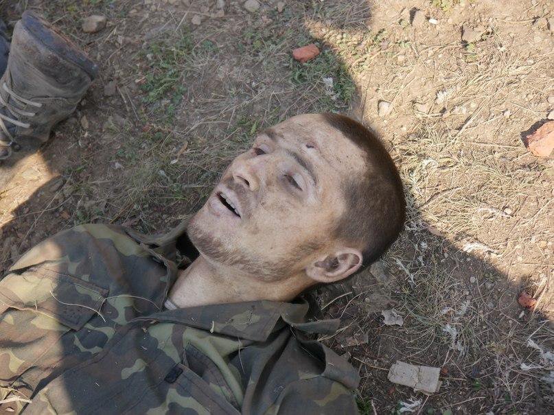 Разгром (первые фотографии трофеев) Разгром (первые фотографии трофеев)