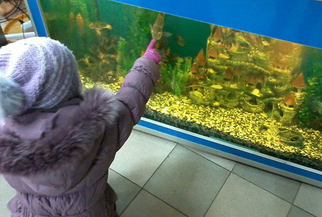 Маруся @mara_beyka, блогер: «Славянск «освобожден» от смеха и радости» Маруся @mara_beyka, блогер: «Славянск «освобожден» от смеха и радости»