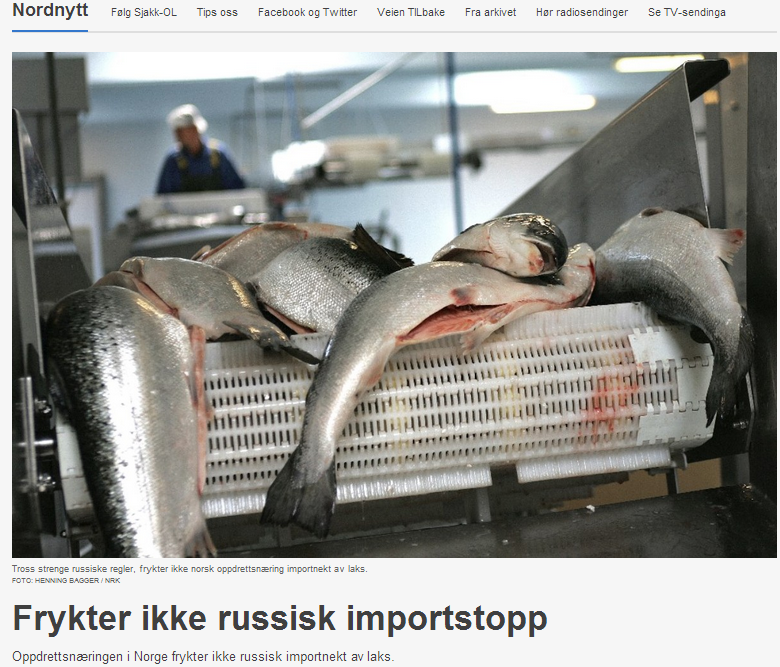 Норвежская реакция на бойкот: рабочих - уволим, сельдь - в Исландию, лососей морозим до Рождества Норвежская реакция на бойкот: рабочих - уволим, сельдь - в Исландию, лососей морозим до Рождества