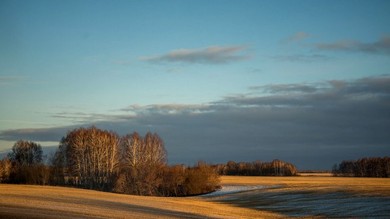 Американец: В России мне объяснили, что моя страна г...о Американец: В России мне объяснили, что моя страна г...о