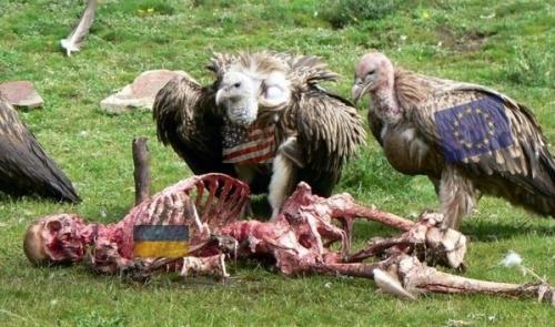 У нас война. Два мнения У нас война. Два мнения