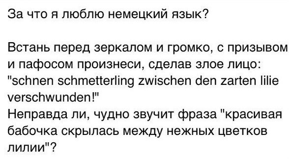Учите русский, он прекрасен! Учите русский, он прекрасен!