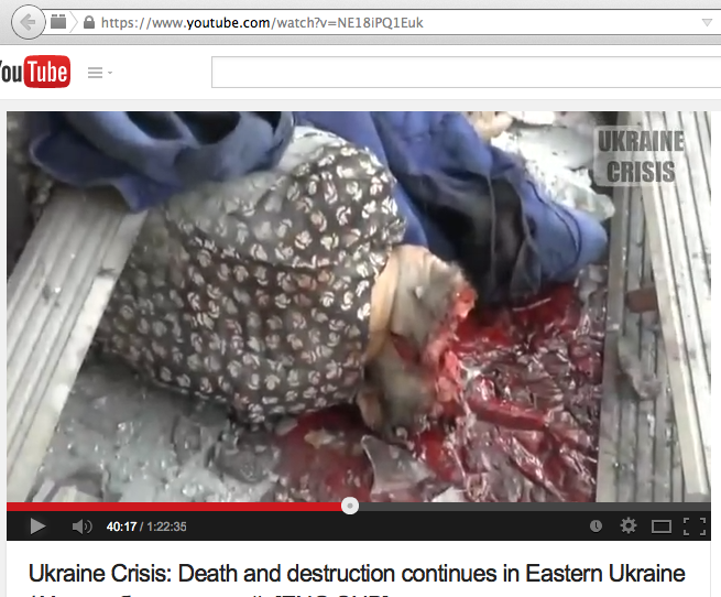 RINF: Западные «аристократы» устроили бойню на Украине «потехи ради» RINF: Западные «аристократы» устроили бойню на Украине «потехи ради»