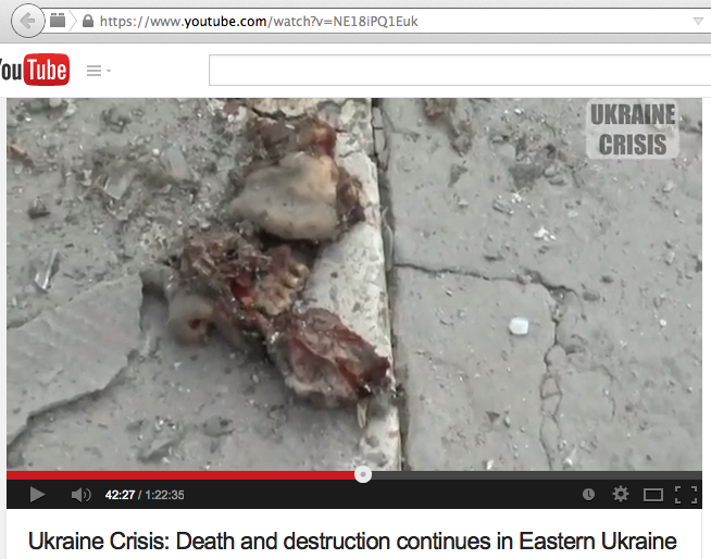 RINF: Западные «аристократы» устроили бойню на Украине «потехи ради» RINF: Западные «аристократы» устроили бойню на Украине «потехи ради»