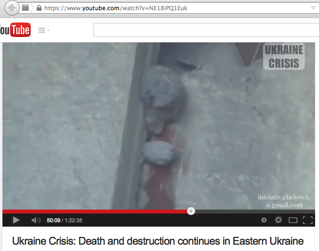 RINF: Западные «аристократы» устроили бойню на Украине «потехи ради» RINF: Западные «аристократы» устроили бойню на Украине «потехи ради»