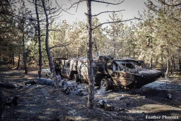 Сводки от ополчения Новороссии 26.08.2014 Сводки от ополчения Новороссии 26.08.2014