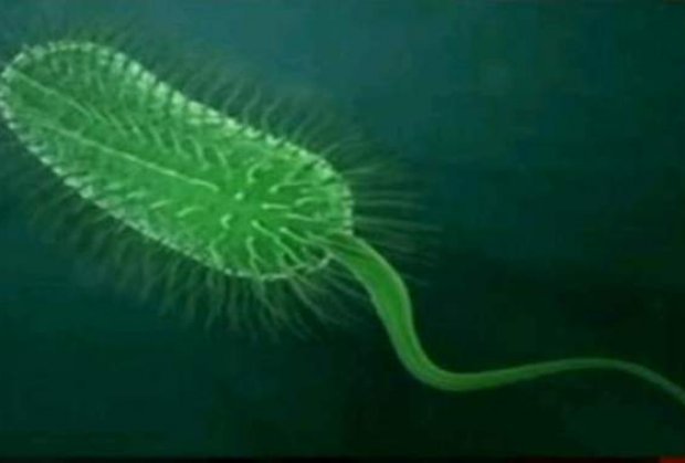 Associated Press обнаружил причину отупения Пиндостана. Associated Press обнаружил причину отупения Пиндостана.