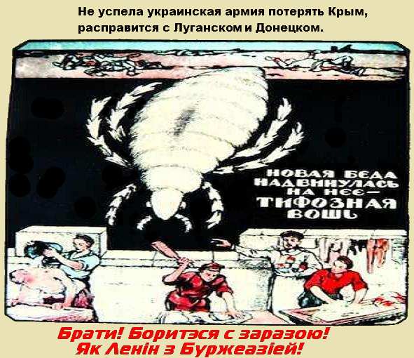 В рядах укровоенных тиф! В рядах укровоенных тиф!