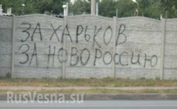 В поддержку Новороссии (ФОТО) В поддержку Новороссии (ФОТО)