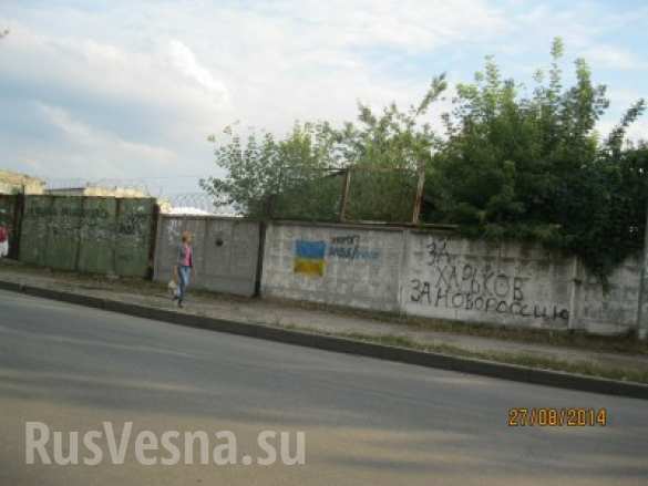 В поддержку Новороссии (ФОТО) В поддержку Новороссии (ФОТО)