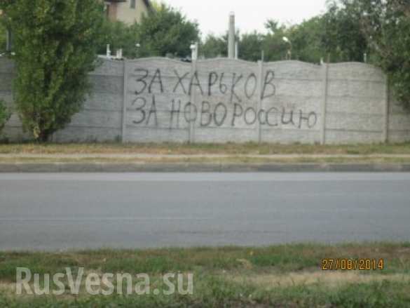 В поддержку Новороссии (ФОТО) В поддержку Новороссии (ФОТО)