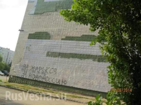 В поддержку Новороссии (ФОТО) В поддержку Новороссии (ФОТО)