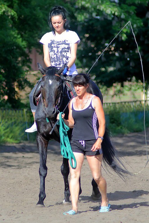 Конноспортивная школа Луганска. Погибли тренер и лошади. Конноспортивная школа Луганска. Погибли тренер и лошади.