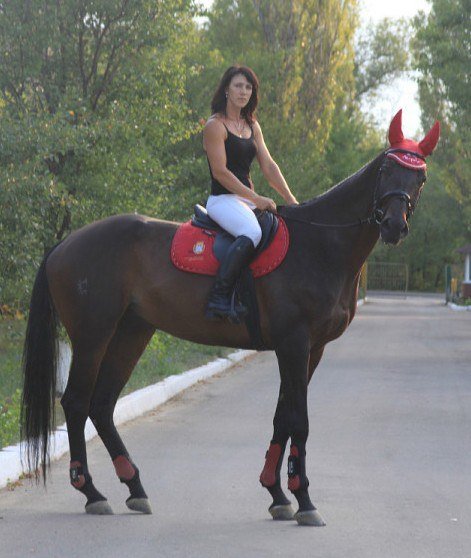 Конноспортивная школа Луганска. Погибли тренер и лошади. Конноспортивная школа Луганска. Погибли тренер и лошади.