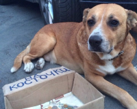 Сотрудник канала 112 побывал в Крыму