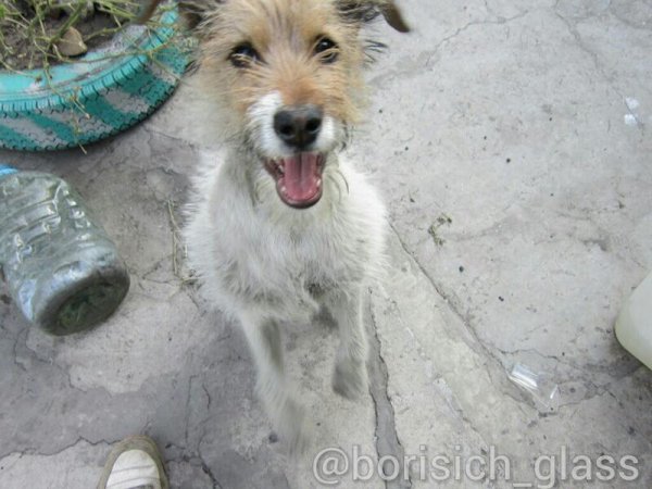 Фото-репортаж из Шахтерска