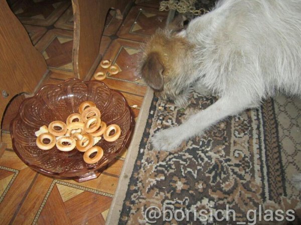 Фото-репортаж из Шахтерска