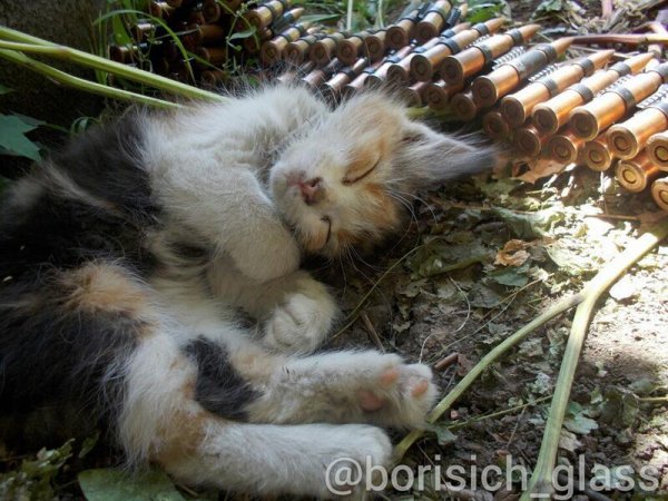 Фото-репортаж из Шахтерска