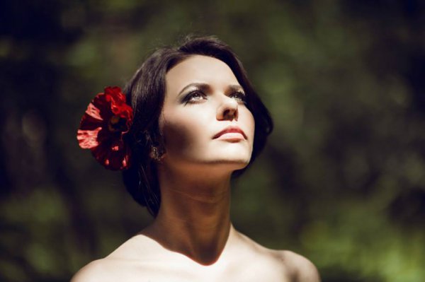 Мультик из Чикаго для Украины