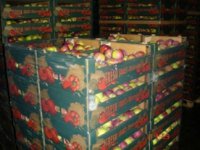 Польша попросила США выкупить яблоки, от которых отказалась Россия.