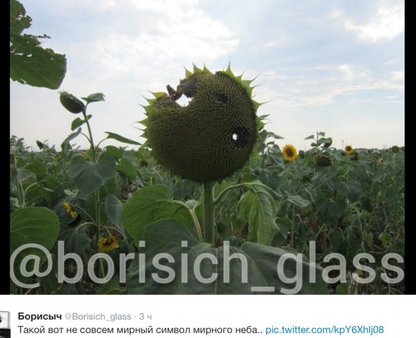 Ситуация на Донбассе к 16 августа