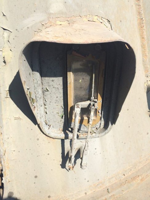 Восставший Феникс и Ржавая Гвоздика