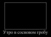 Во Львов пришла очередная партия гробов.