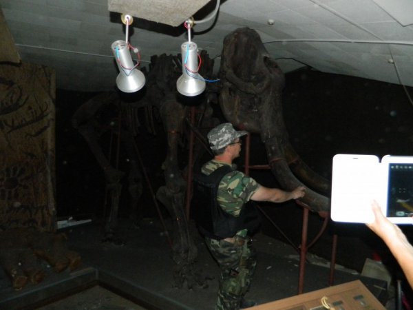 Краеведческий музей города Донецка. Восемь попаданий укро-снарядов.