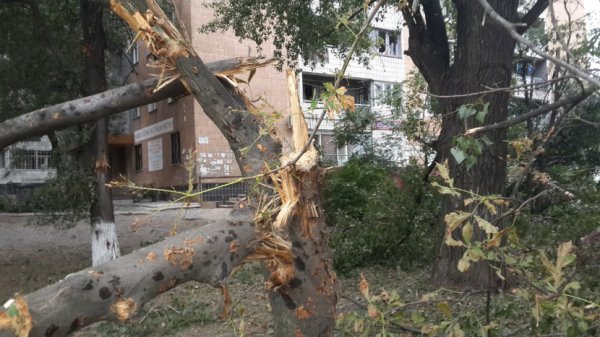 Преступление хунты в Новороссии 23-08-2014 (Фото, видео)