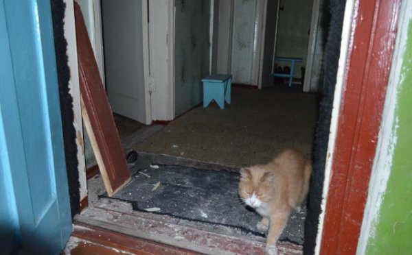 Преступление хунты в Новороссии 23-08-2014 (Фото, видео)