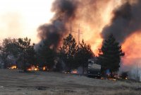 Сводка с фронта за 29 августа 2014 года