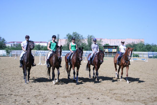 Конноспортивная школа Луганска. Погибли тренер и лошади.