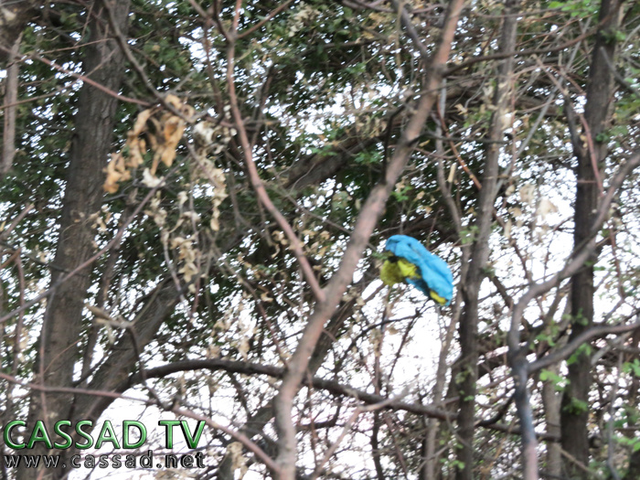 Бывшие позиции украинской армии по дороге в Червонопартизанск (фото, видео) Бывшие позиции украинской армии по дороге в Червонопартизанск (фото, видео)