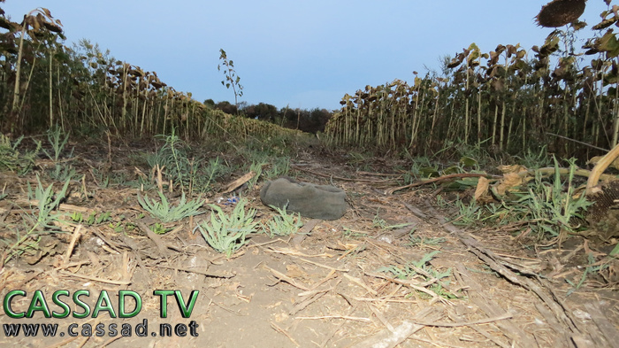 Бывшие позиции украинской армии по дороге в Червонопартизанск (фото, видео) Бывшие позиции украинской армии по дороге в Червонопартизанск (фото, видео)